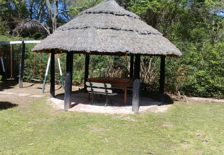 Nuevo proyecto (2)