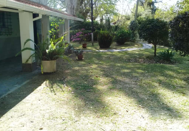 Nuevo proyecto (9)