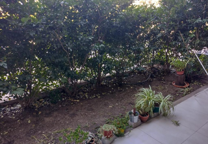 Nuevo proyecto (34)