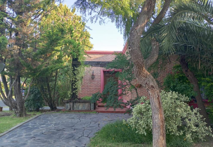 Proyecto nuevo (18)