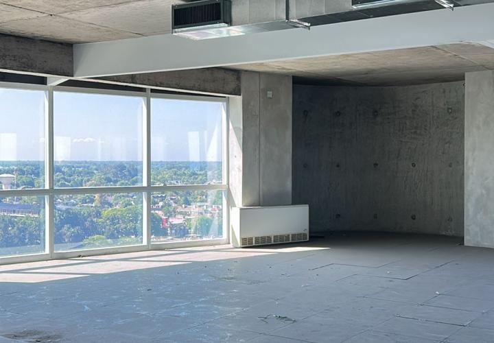 WhatsApp Image 2025-11-05 at 16.35.15